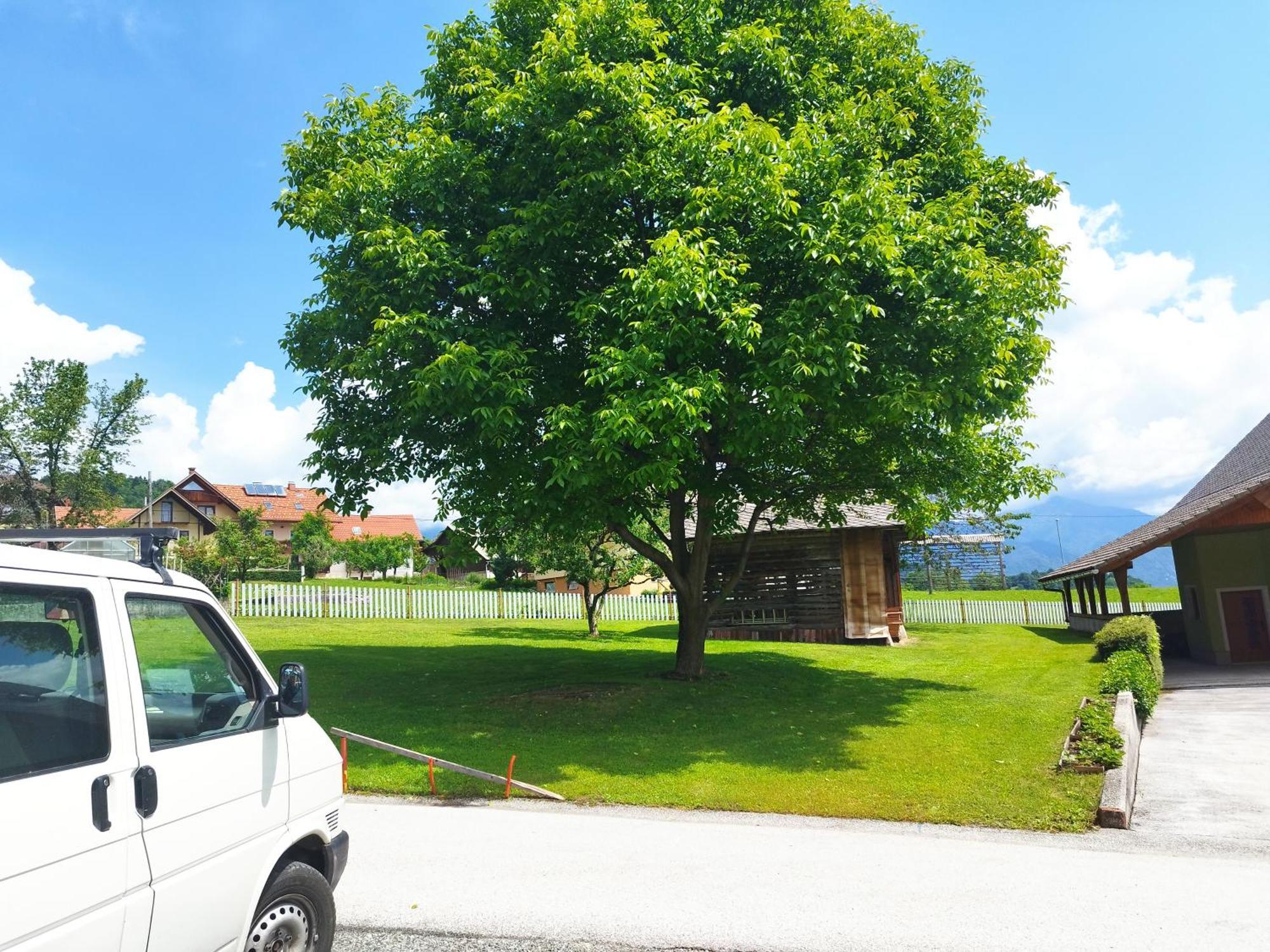 Ferienwohnung Tree Bled Exterior foto